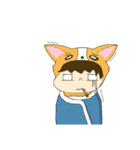 Corgi XIAO LAI is not a human（個別スタンプ：29）