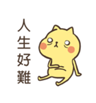 yellow cat cat（個別スタンプ：1）