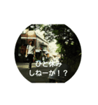 ゆるいさとし（個別スタンプ：5）