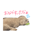 ぷーとじゃすみんのスタンプ（個別スタンプ：8）