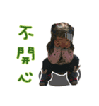 Xin Yingying（個別スタンプ：4）