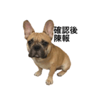 Meatball the Frenchie（個別スタンプ：2）