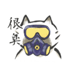 that racoon（個別スタンプ：8）