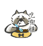 that racoon（個別スタンプ：11）