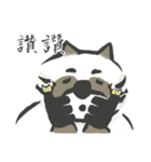 that racoon（個別スタンプ：14）