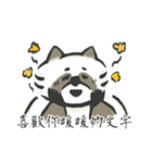 that racoon（個別スタンプ：15）