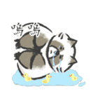 that racoon（個別スタンプ：31）