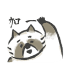 that racoon（個別スタンプ：38）