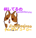 犬 : タイ語勉強しよう 日本語タイ語（個別スタンプ：33）