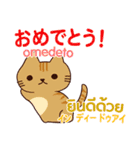 猫 タイ語勉強しよう 日本語タイ語（個別スタンプ：1）