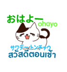 猫 タイ語勉強しよう 日本語タイ語（個別スタンプ：4）