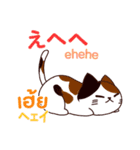 猫 タイ語勉強しよう 日本語タイ語（個別スタンプ：9）