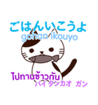 猫 タイ語勉強しよう 日本語タイ語（個別スタンプ：17）