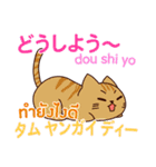 猫 タイ語勉強しよう 日本語タイ語（個別スタンプ：24）