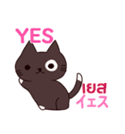 猫 タイ語勉強しよう 日本語タイ語（個別スタンプ：28）