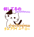 猫 タイ語勉強しよう 日本語タイ語（個別スタンプ：33）