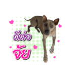 Latte Dog V.2（個別スタンプ：4）