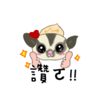 Sugar Glider baby（個別スタンプ：9）