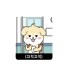 RUNNING POLITE MR. PUPPY (Korean ver)（個別スタンプ：4）