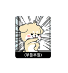 RUNNING POLITE MR. PUPPY (Korean ver)（個別スタンプ：6）