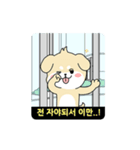 RUNNING POLITE MR. PUPPY (Korean ver)（個別スタンプ：8）