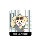 RUNNING POLITE MR. PUPPY (Korean ver)（個別スタンプ：16）