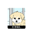 RUNNING POLITE MR. PUPPY (Korean ver)（個別スタンプ：23）