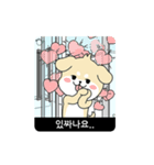 RUNNING POLITE MR. PUPPY (Korean ver)（個別スタンプ：24）