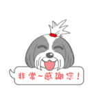 Cute Dog's greeting（個別スタンプ：2）