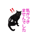 猫にゃ・にゃ・にゃ！part7（個別スタンプ：10）