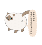 おならで喋るねこ（ゆみちゃん）（個別スタンプ：22）