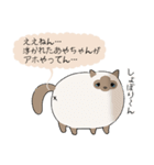 おならで喋るねこ（あやちゃん）（個別スタンプ：21）