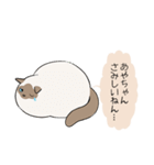 おならで喋るねこ（あやちゃん）（個別スタンプ：33）