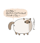 おならで喋るねこ（りかちゃん）（個別スタンプ：21）