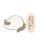 おならで喋るねこ（りかちゃん）（個別スタンプ：33）