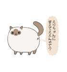 おならで喋るねこ（えりちゃん）（個別スタンプ：1）