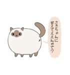 おならで喋るねこ（さきちゃん）（個別スタンプ：1）