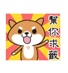 Shiba dogs-For Daily Life(Fortune Slip)（個別スタンプ：1）