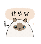 おならで喋るねこ（かおり）（個別スタンプ：3）