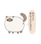 おならで喋るねこ（あかり）（個別スタンプ：1）