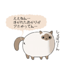 おならで喋るねこ（あかり）（個別スタンプ：21）