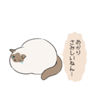 おならで喋るねこ（あかり）（個別スタンプ：33）