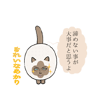 おならで喋るねこ（あかり）（個別スタンプ：38）