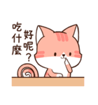 Little Red Cat CHACHA（個別スタンプ：6）