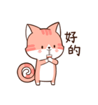 Little Red Cat CHACHA（個別スタンプ：20）