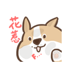 lovely corgi family（個別スタンプ：4）