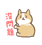 lovely corgi family（個別スタンプ：6）