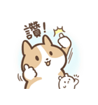 lovely corgi family（個別スタンプ：12）