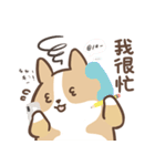 lovely corgi family（個別スタンプ：21）