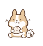 lovely corgi family（個別スタンプ：30）